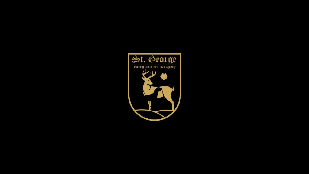 Logo & Identity